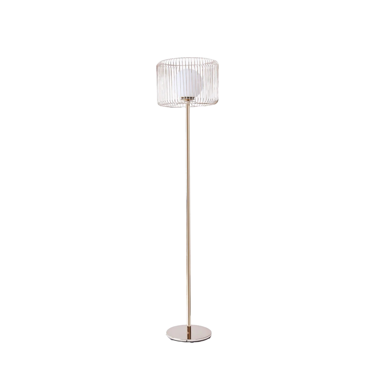 BIRDCAGE FLOOR LAMP